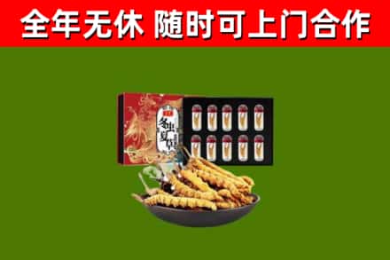 灌阳回收冬虫夏草价格