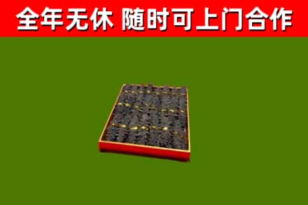 灌阳回收海参